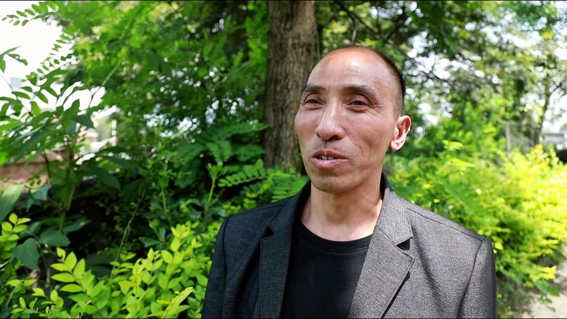 合江县符阳街道：提升荔枝管护水平，助农增产增收 第 4 张