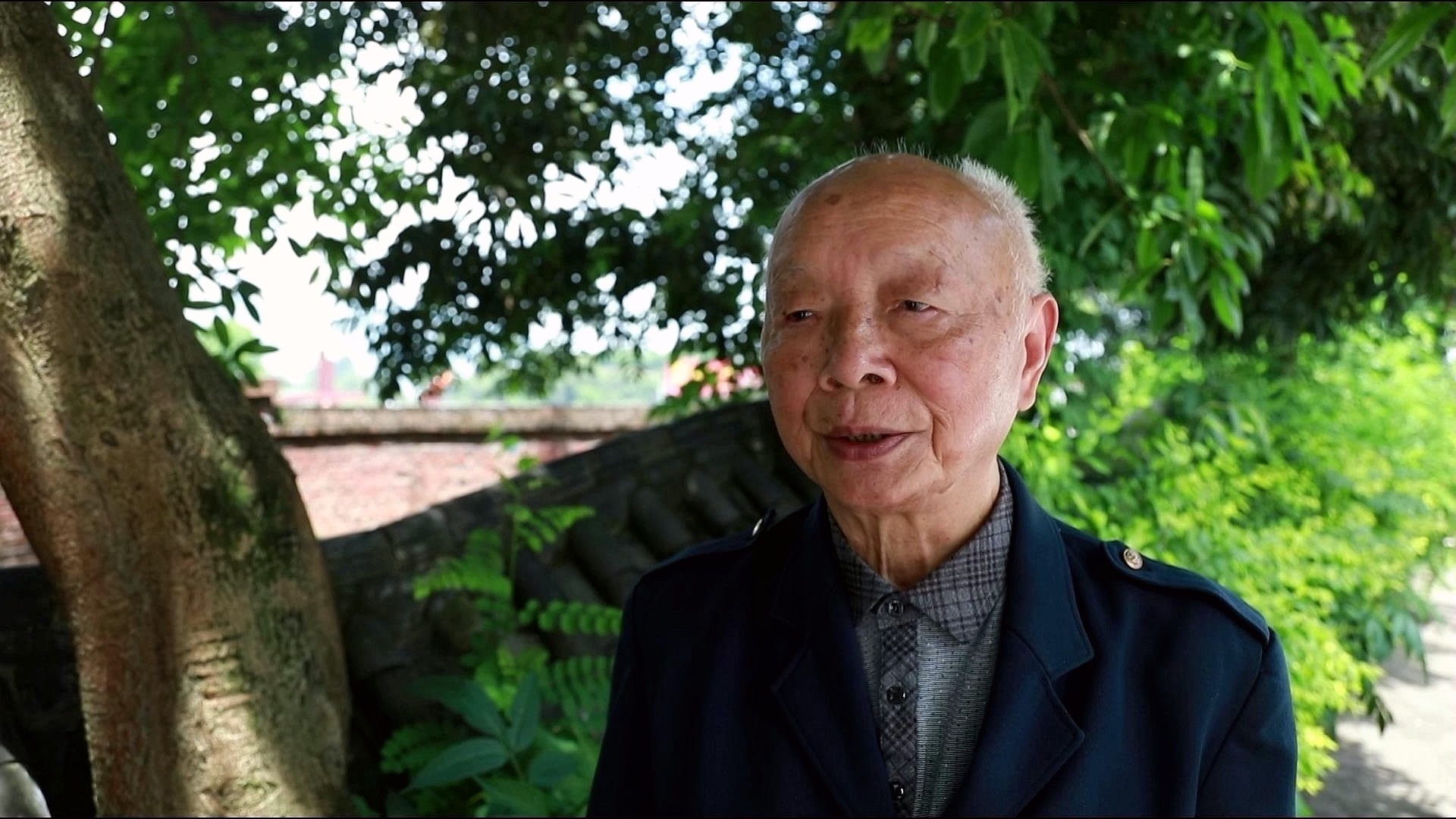 合江县符阳街道：提升荔枝管护水平，助农增产增收 第 5 张