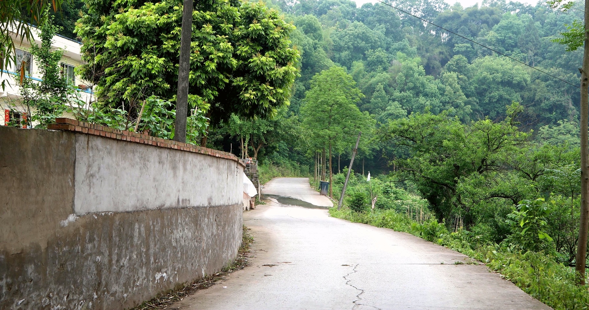 【行走川渝】（一）一条穿村路 川渝一家亲 第 8 张