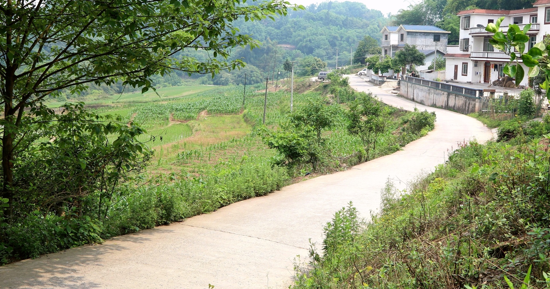 【行走川渝】（一）一条穿村路 川渝一家亲 第 9 张