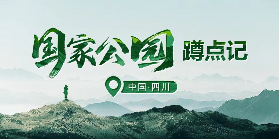国家公园蹲点记①丨在这里，大熊猫和它的朋友越来越多了 第 1 张