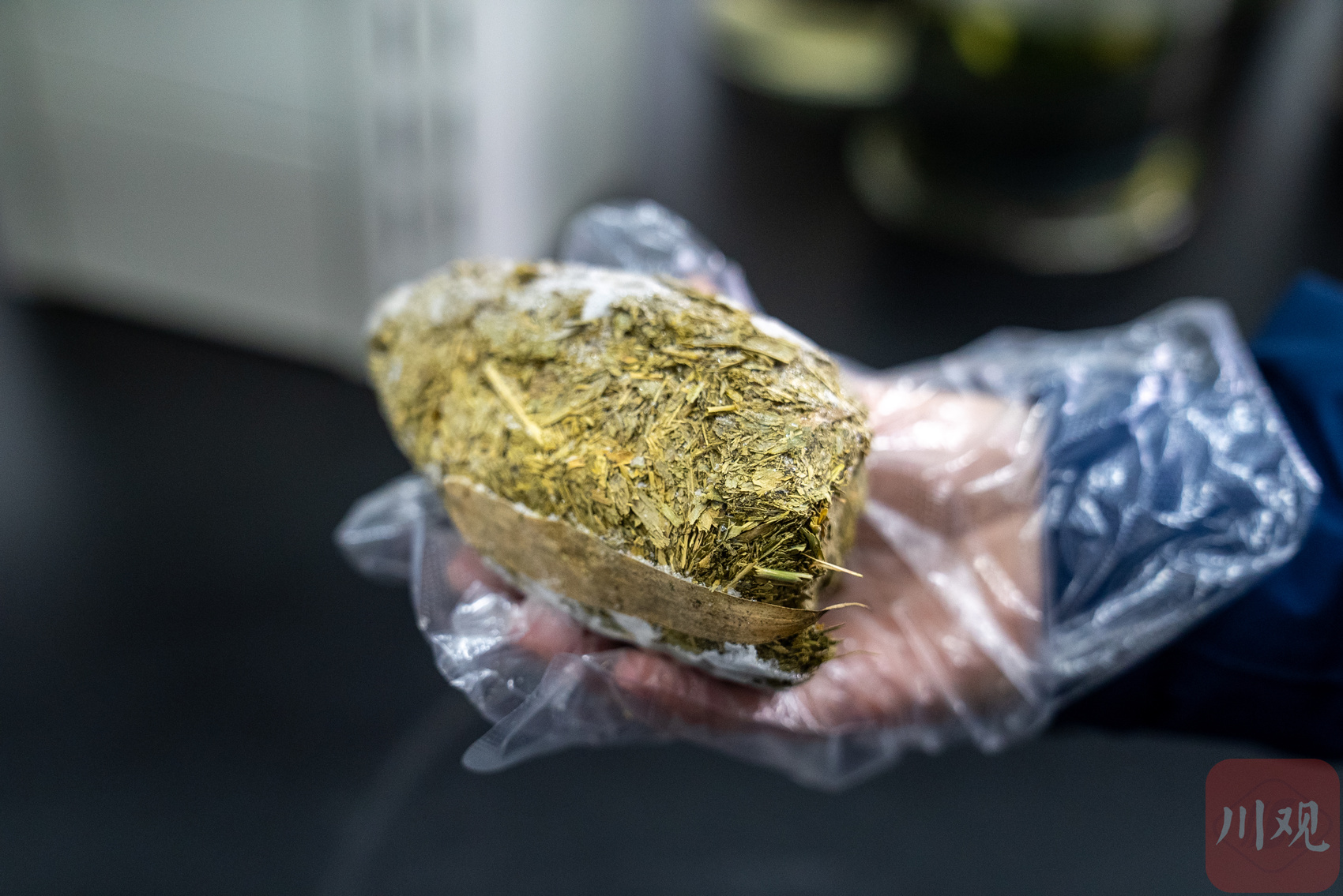 国家公园蹲点记①丨在这里，大熊猫和它的朋友越来越多了 第 6 张