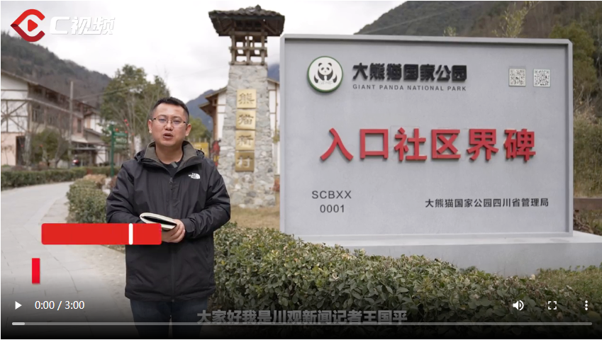 国家公园蹲点记②丨与大熊猫为邻，这些村落正绿色崛起