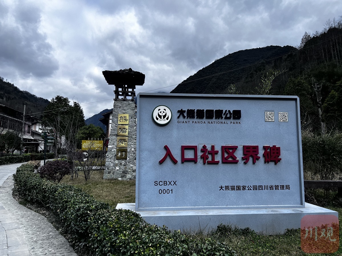 国家公园蹲点记②丨与大熊猫为邻，这些村落正绿色崛起 第 2 张