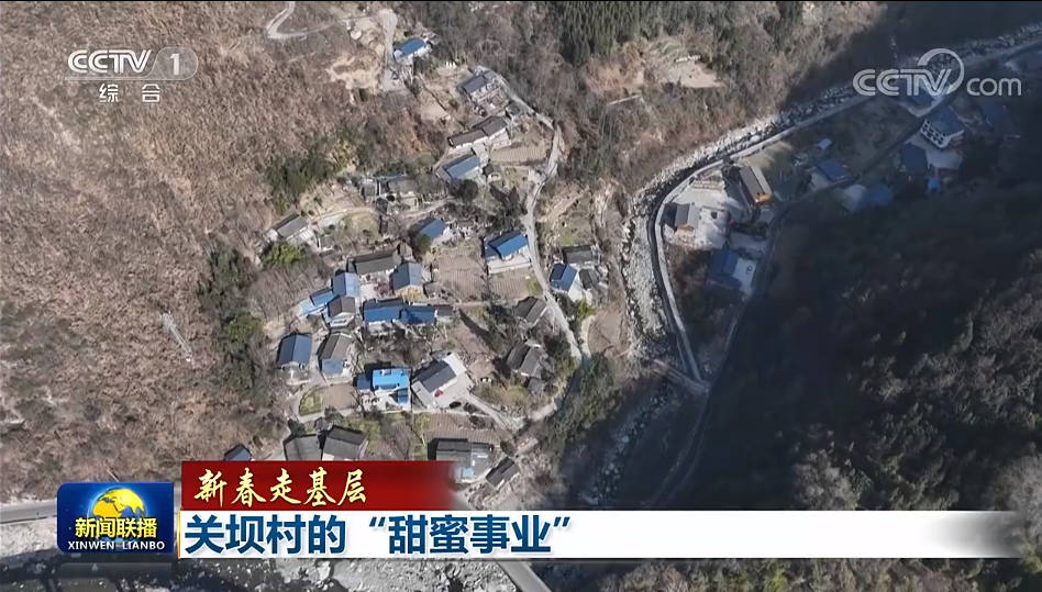 央视联播丨新春走基层：关坝村的“甜蜜事业” 第 3 张