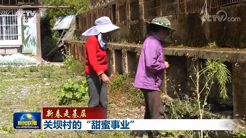 央视联播丨新春走基层：关坝村的“甜蜜事业” 第 5 张