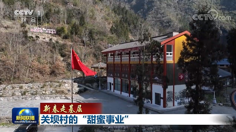 央视联播丨新春走基层：关坝村的“甜蜜事业” 第 10 张