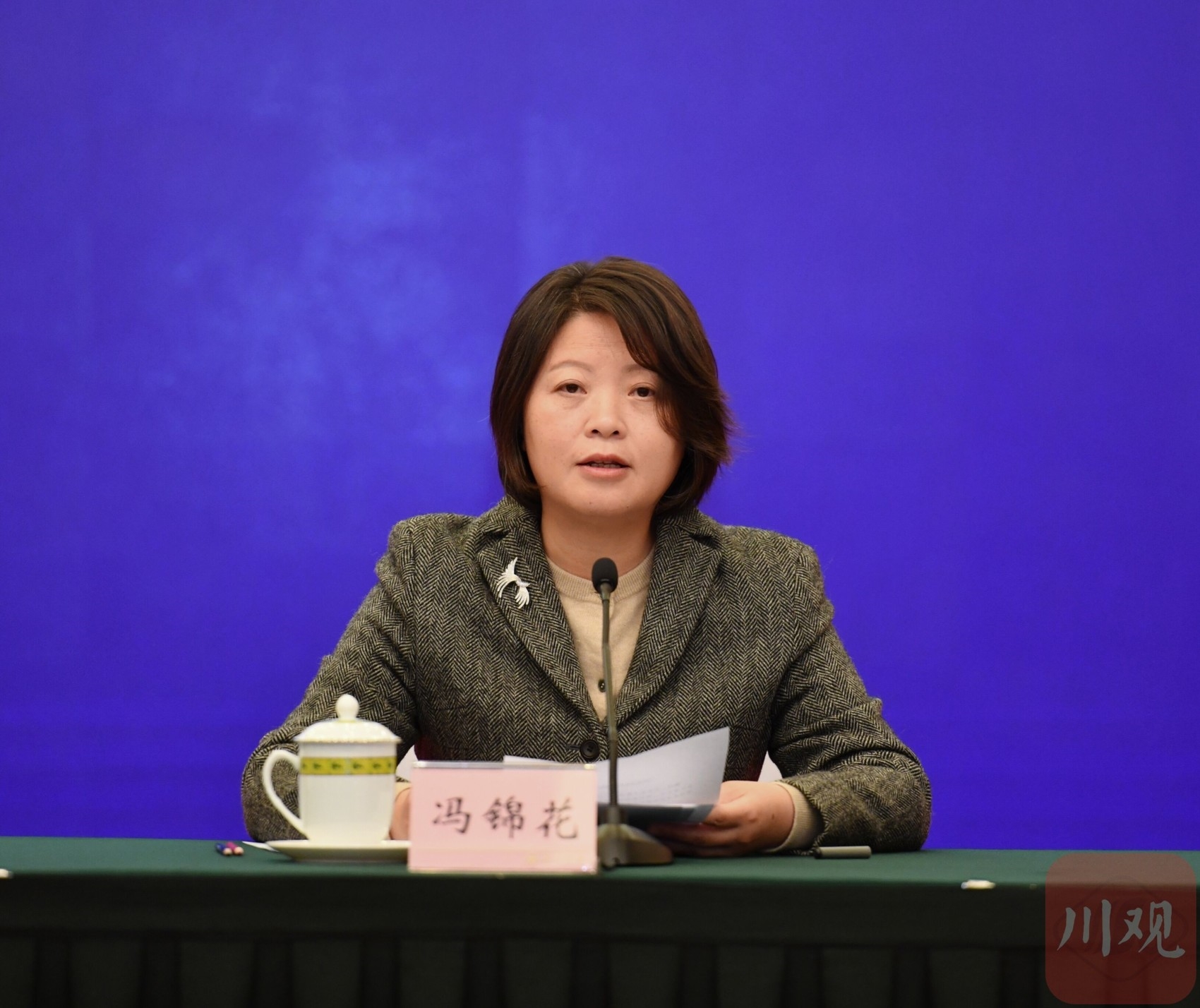 加快建设农业强省 四川如何做？ 第 3 张