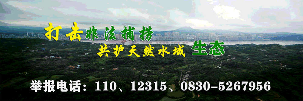 2023 我们这样干 | 榕山镇：推进“五大攻坚行动”，高质量建设“绿色生态?和美榕山” 第 10 张