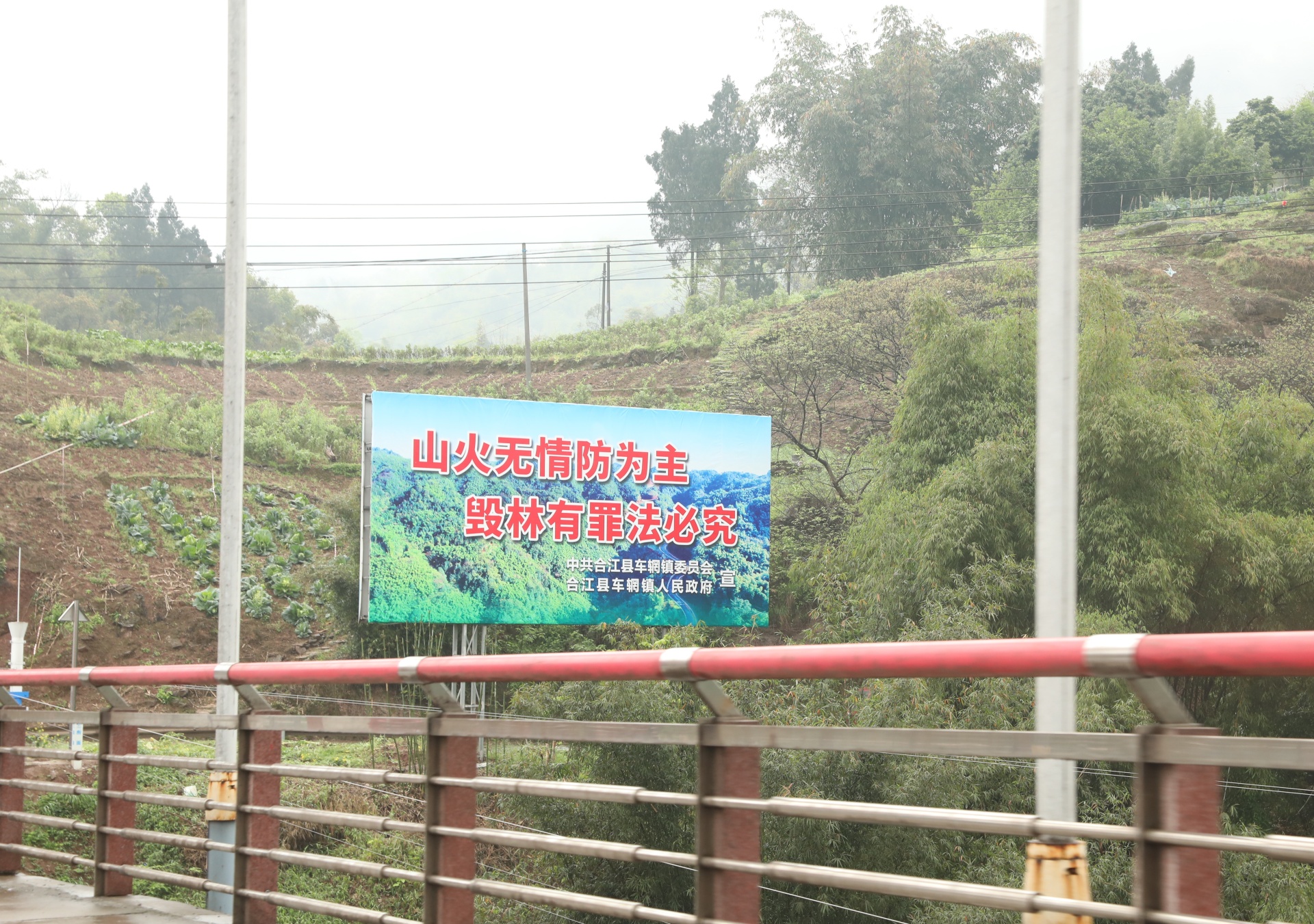 合江：抓牢森林防火，留住绿水青山