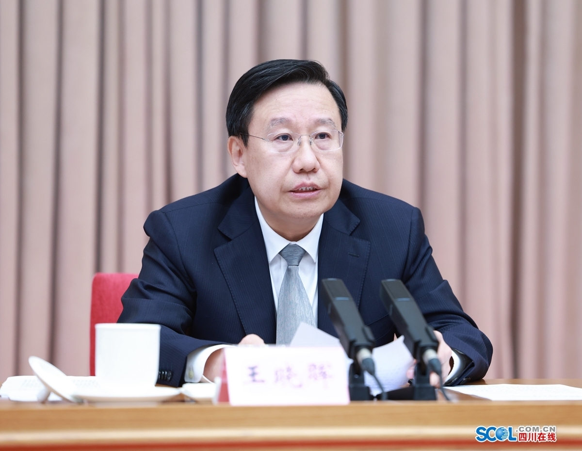 四川省学习贯彻习近平新时代中国特色社会主义思想主题教育工作会议召开 王晓晖廉毅敏讲话 黄强出席 第 2 张