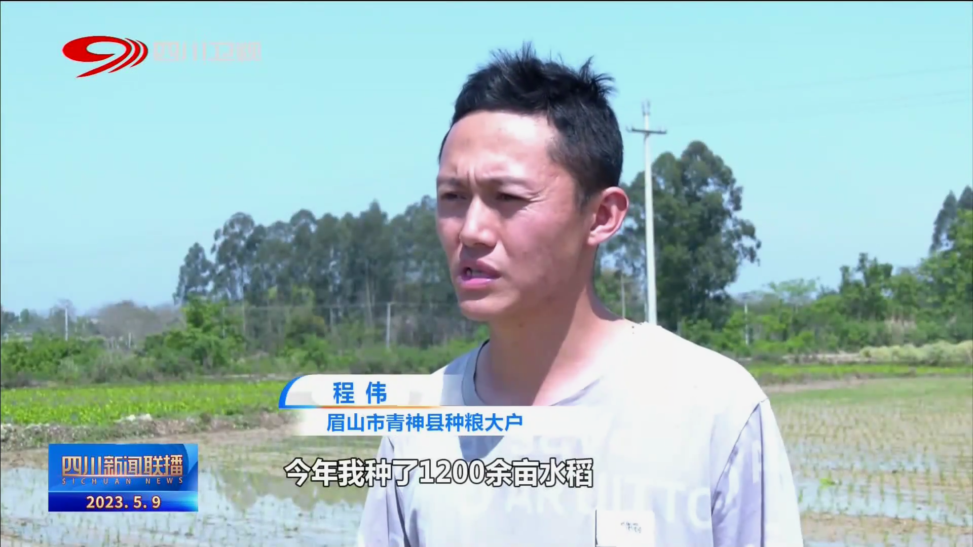 四川新闻联播丨抢抓农时 各地大春生产有序推进 第 4 张