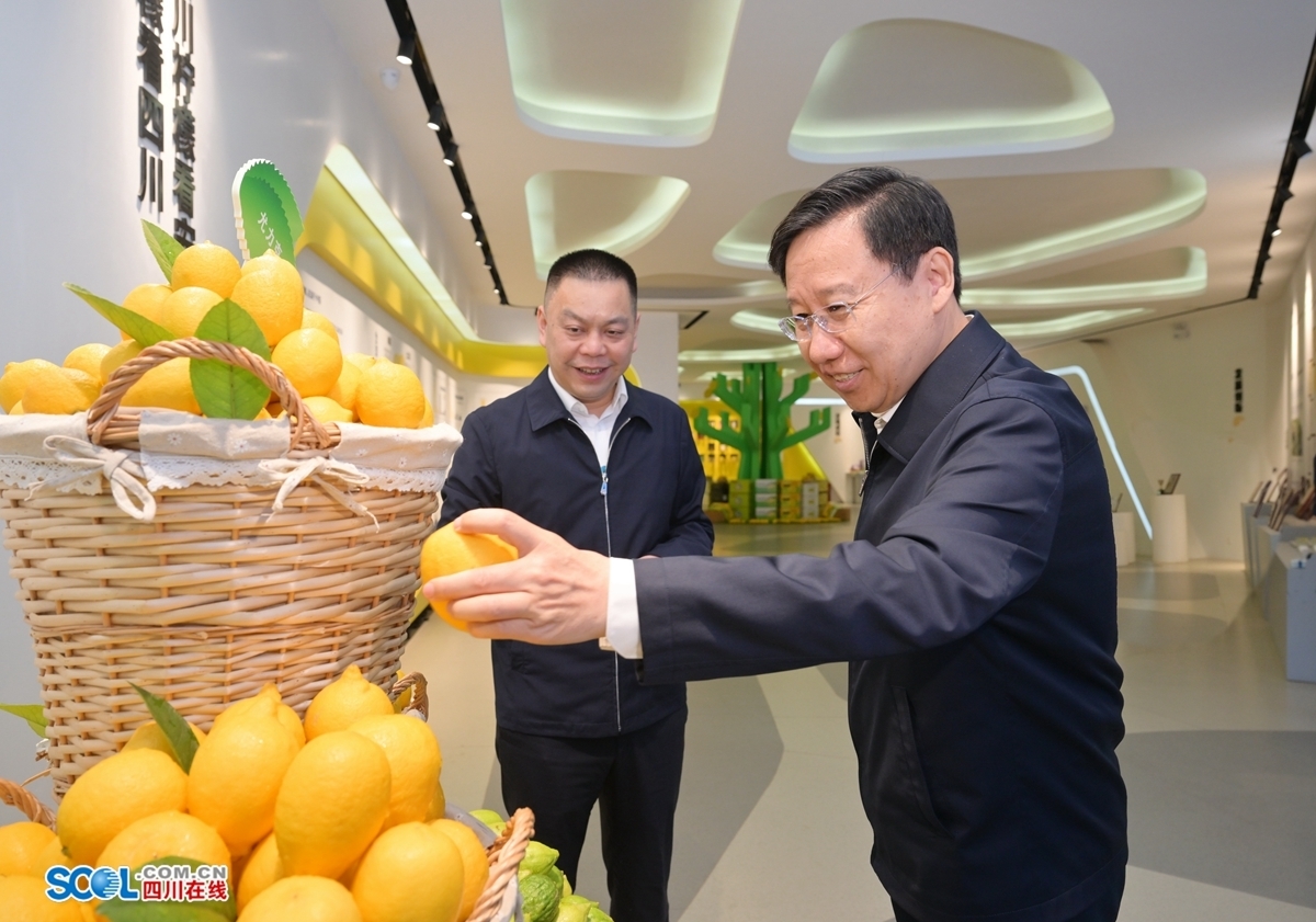 王晓晖在资阳市绵阳市广元市开展专题调研时强调：把解决好“三农”问题作为重中之重，加快推进农业现代化建设，不断夯实四川现代化建设的基础 第 4 张