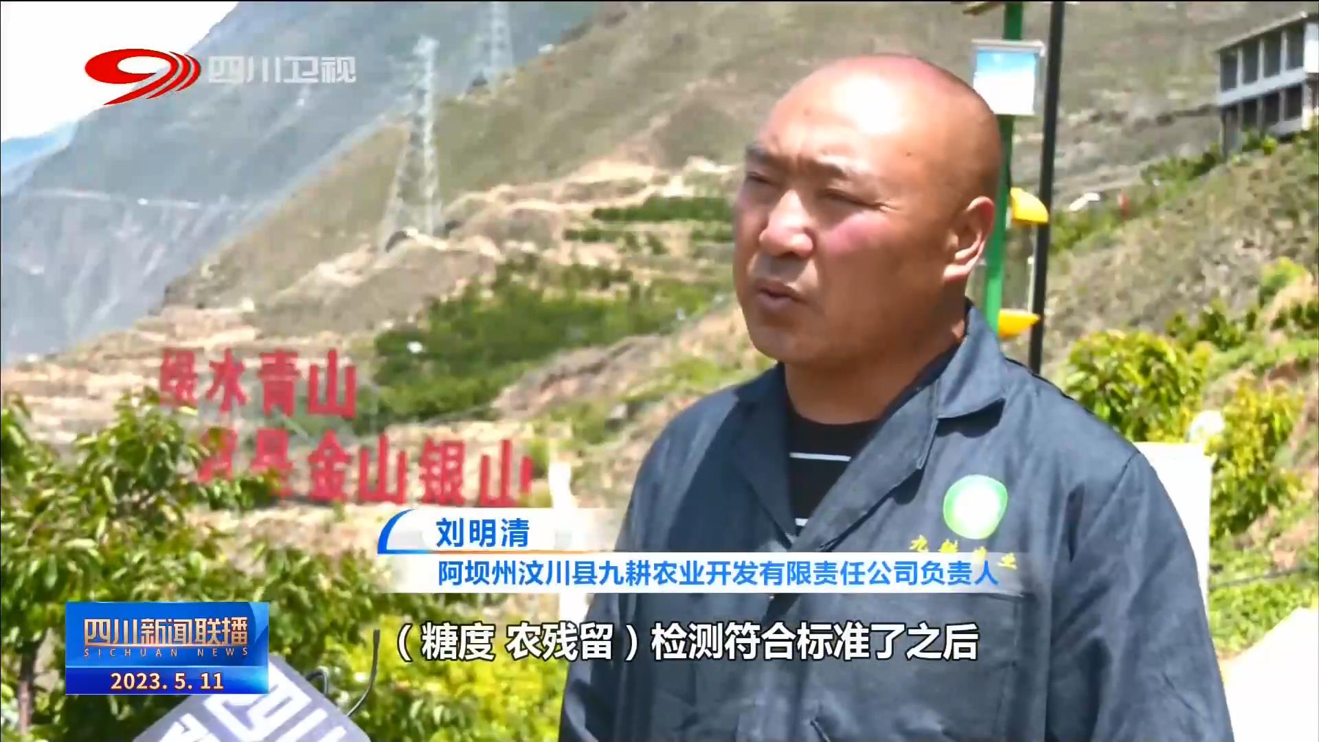 四川新闻联播丨产业旺生活美 绘就汶川新画卷 第 3 张