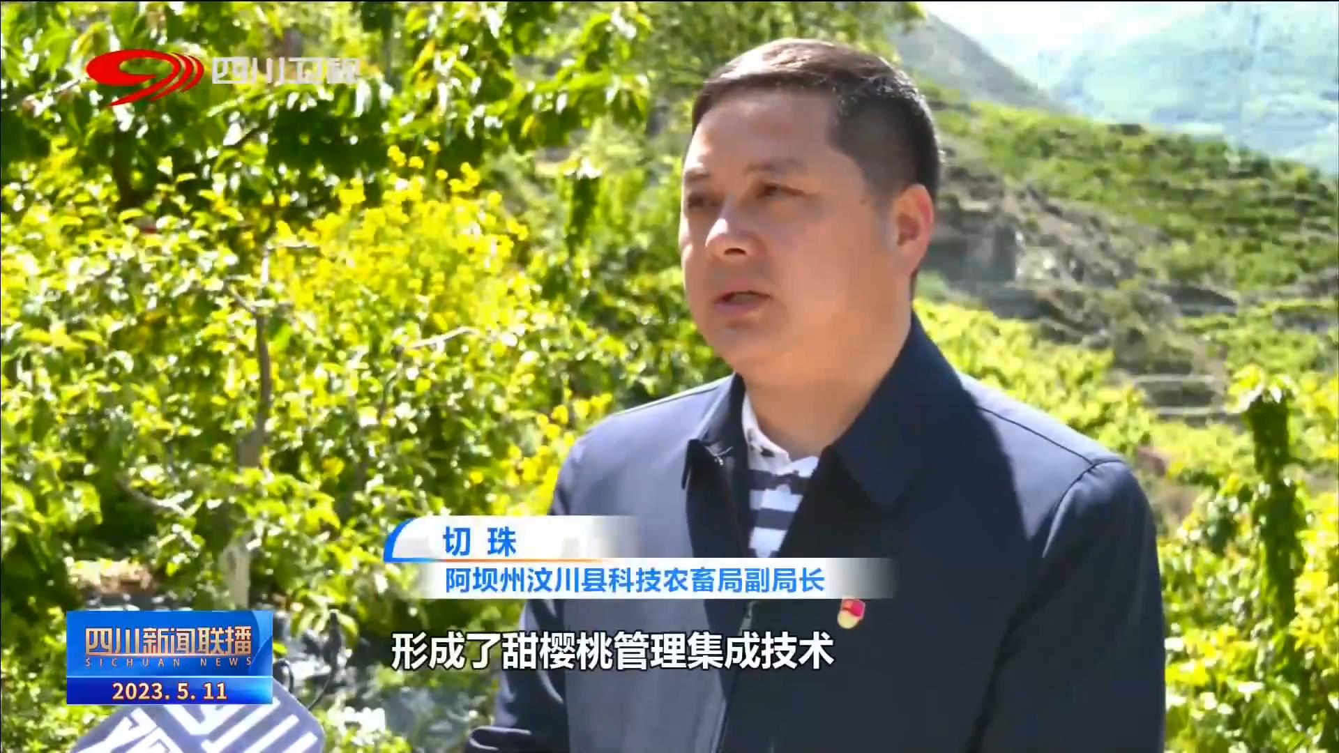 四川新闻联播丨产业旺生活美 绘就汶川新画卷 第 4 张