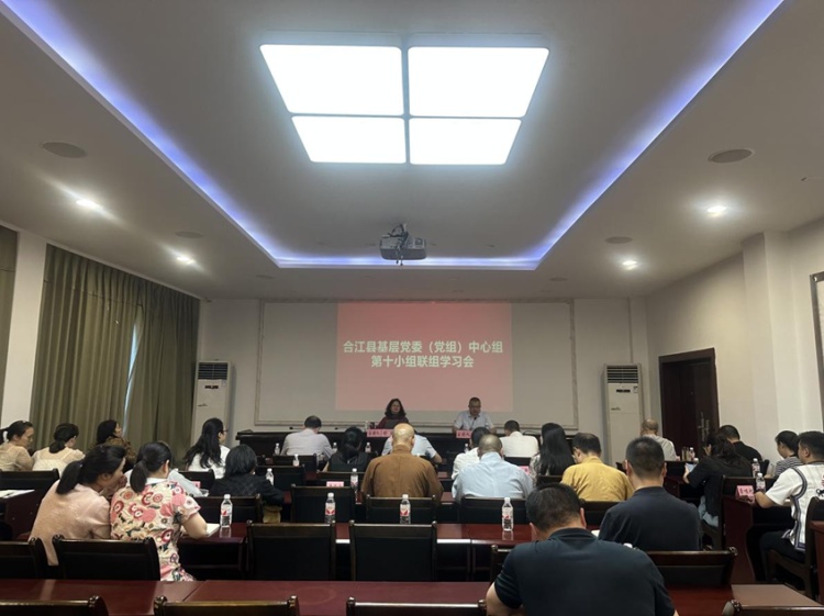 合江县直机关工委举行学习贯彻习近平法治思想专题讲座 第 1 张