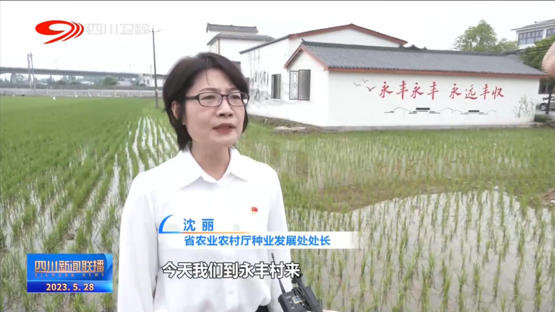 四川新闻联播丨把课堂“搬到”一线 推动主题教育取得实效 第 6 张