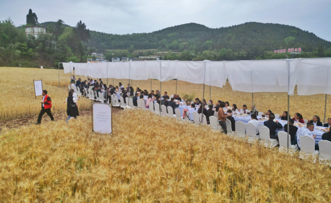 从“史上最热‘五一’”成绩单看四川文旅市场消费潜力释放和经济发展势头 第 2 张
