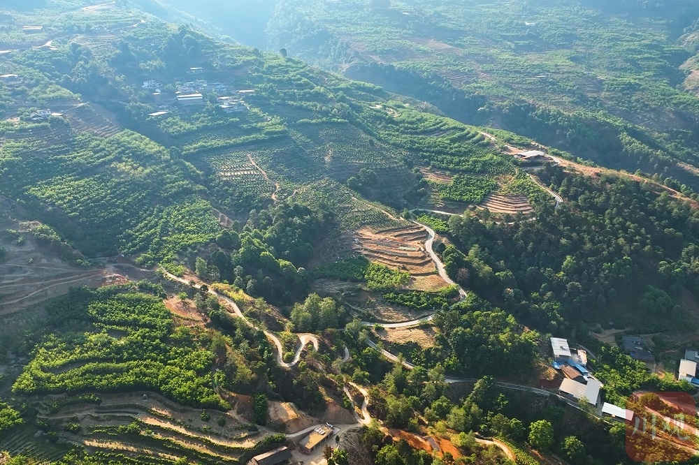 这个试验区要怎么补“短板”？丨攀枝花共同富裕试验区建设蹲点调研记② 第 3 张