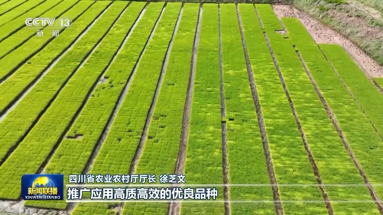央媒看四川丨四川：深入学重实效 打造更高水平“天府粮仓” 第 3 张