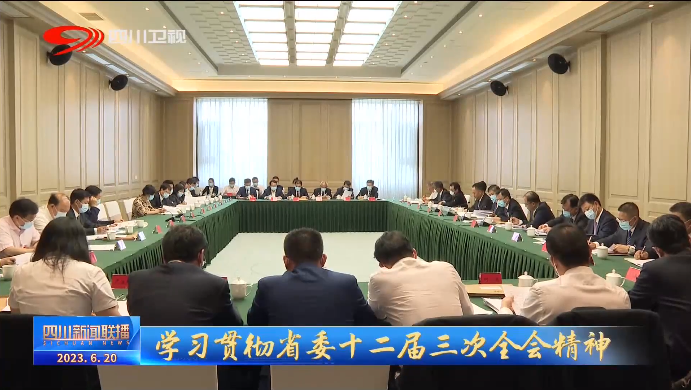 四川新闻联播丨深入推进新型工业化 加快建设现代化产业体系 第 7 张