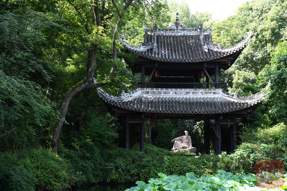 向总书记报告·一线调研⑤丨坚定文化自信——来自四川传承弘扬中华优秀传统文化的一线调研 第 2 张