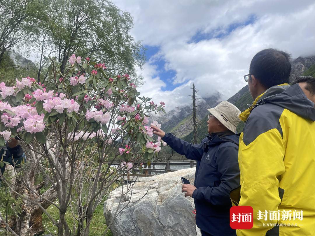 阿来俞敏洪董宇辉直播真的在“云端” 第 7 张