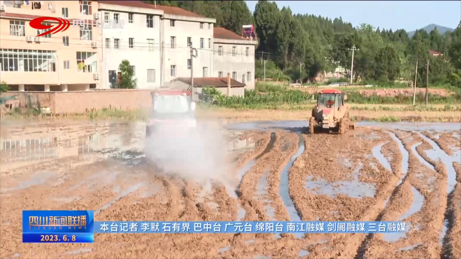 四川新闻联播丨全省大春粮食作物育播已超九成 第 11 张