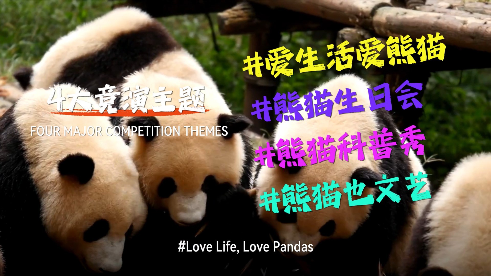 “我们的panda”成团召集令！ 第 4 张