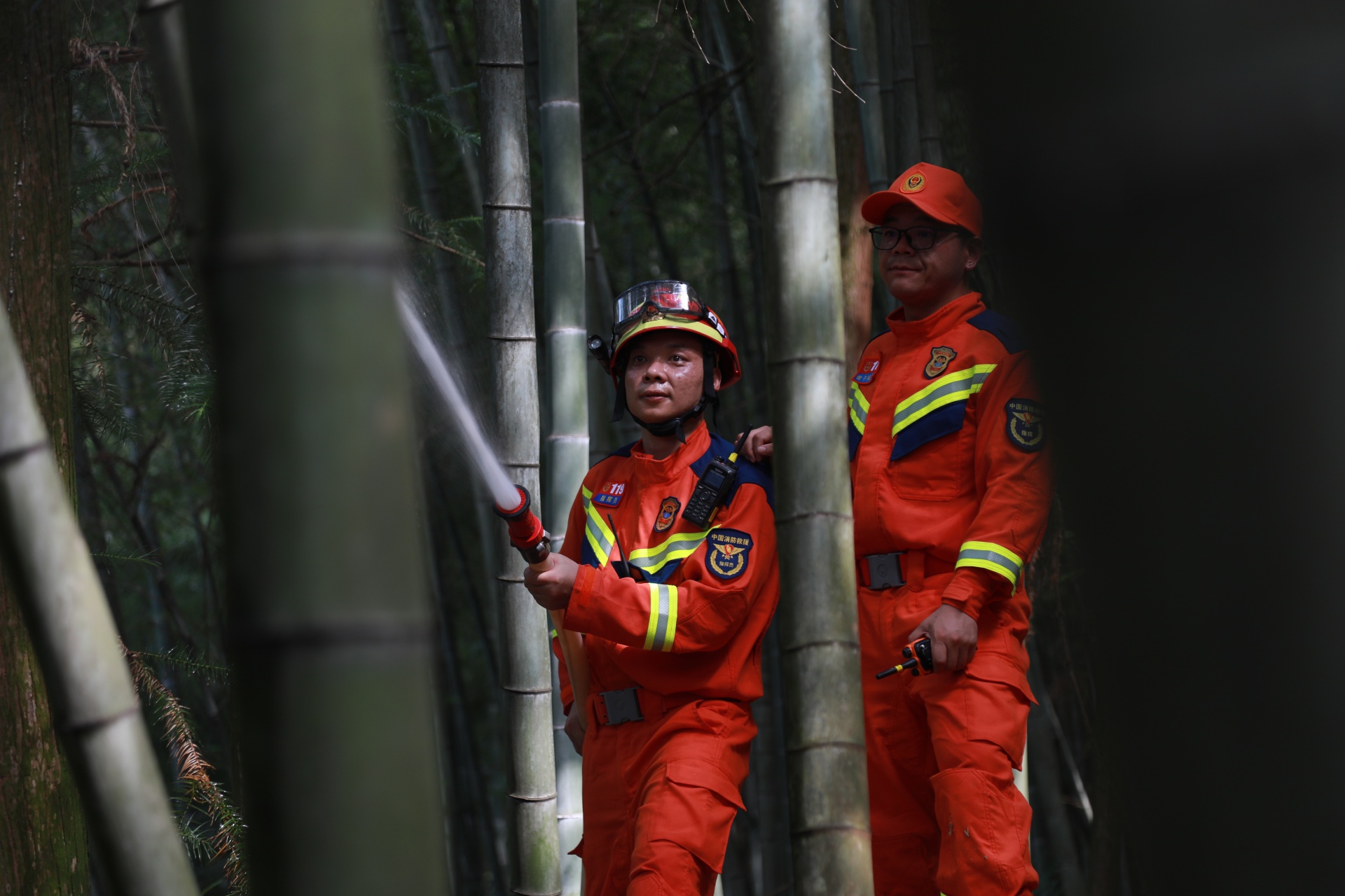 合江县消防救援大队组织开展森林火灾扑救实战拉动演练 第 4 张