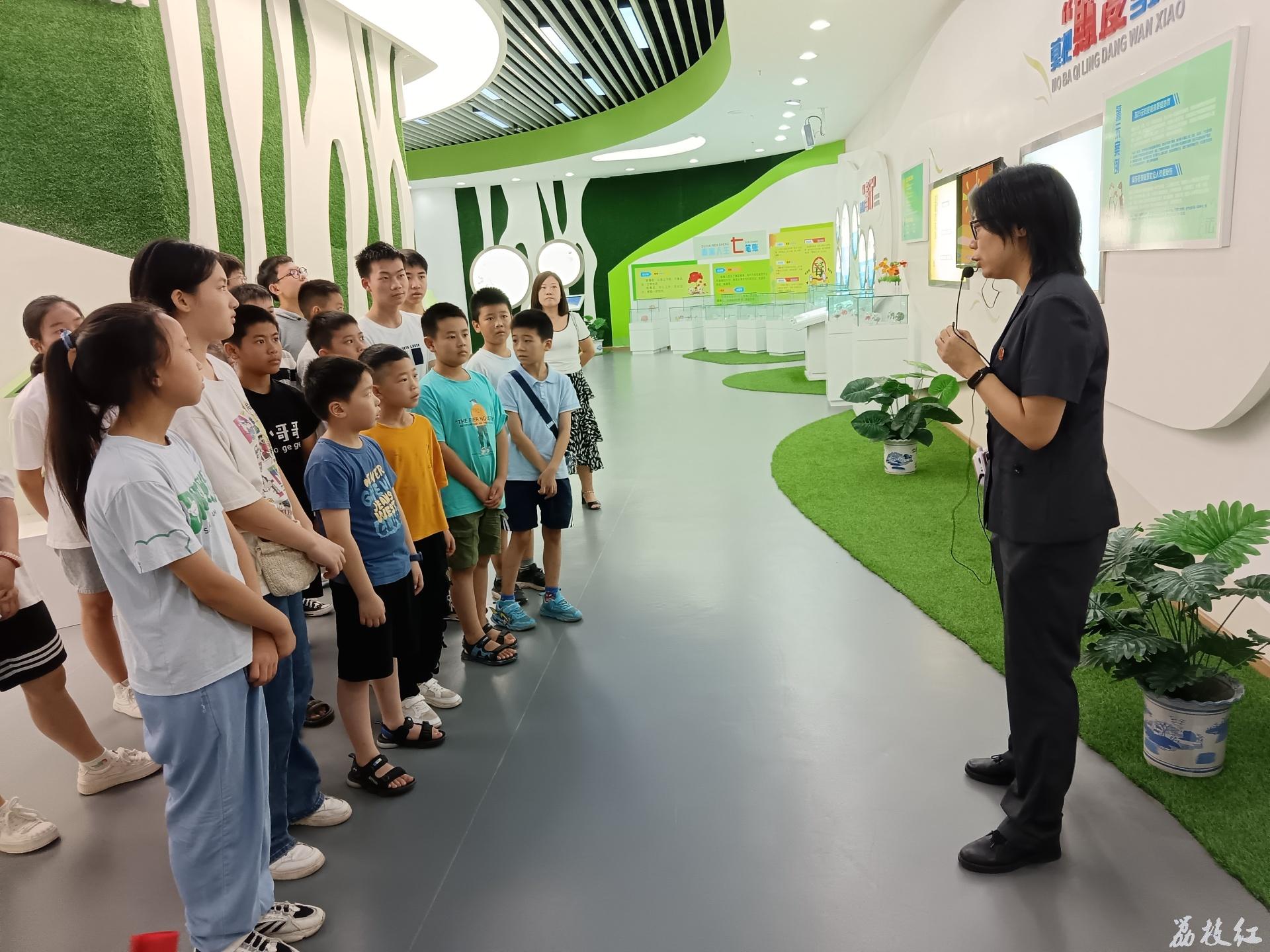 合江县九支镇组织青少年走进法院“零距离”参观学习 第 2 张