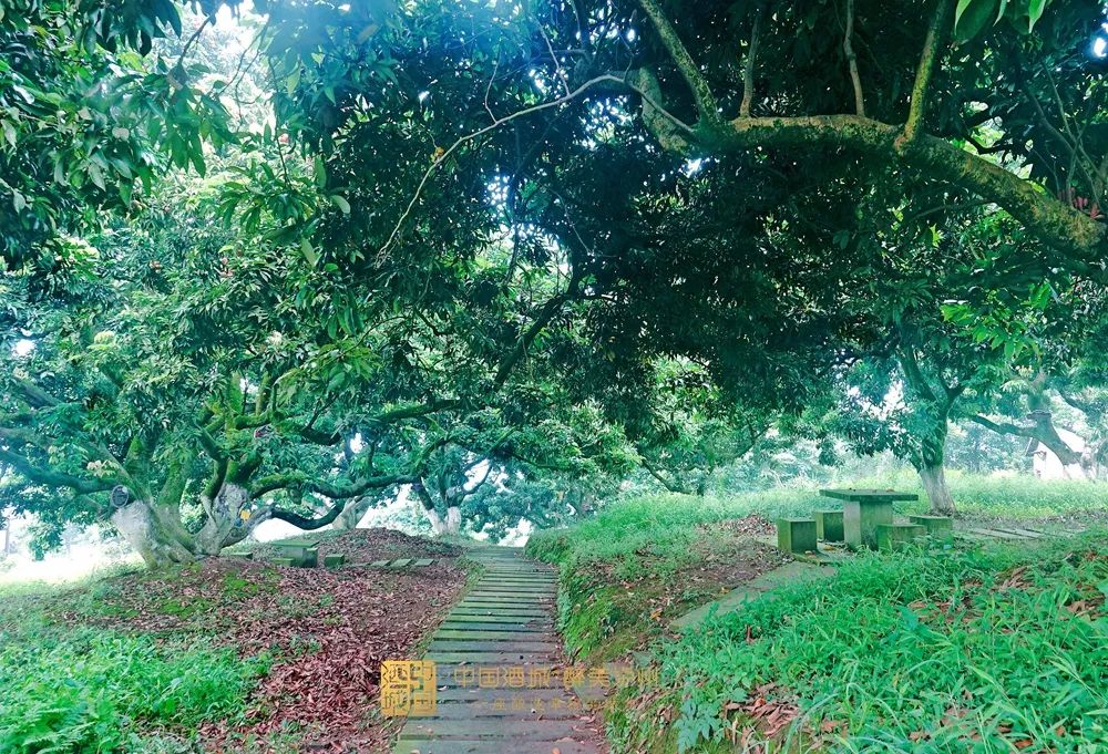 《新千里江山图·活力四川》泸州篇昨日播出，快来回顾合江站的内容啦→ 第 6 张
