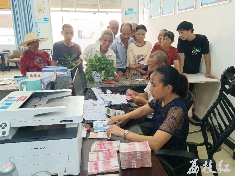合江县白米镇：订单高粱获丰收， 农户分红乐悠悠！ 第 1 张