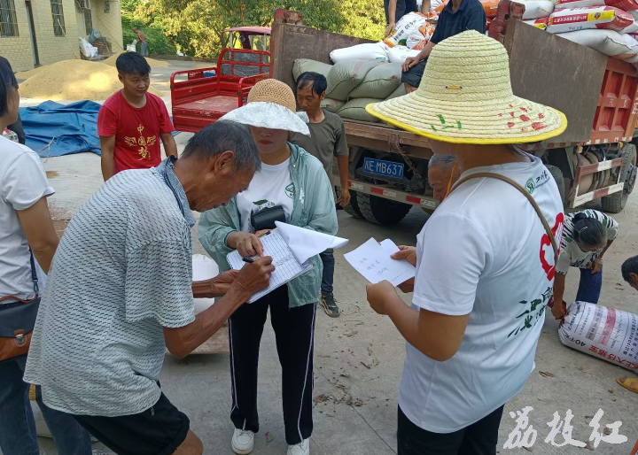 合江县白米镇：订单高粱获丰收， 农户分红乐悠悠！ 第 3 张