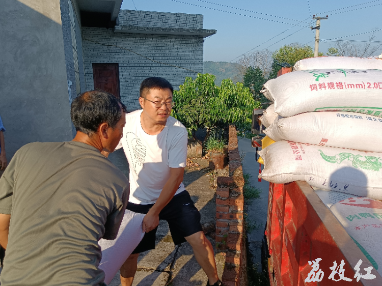 合江县白米镇：订单高粱获丰收， 农户分红乐悠悠！ 第 4 张