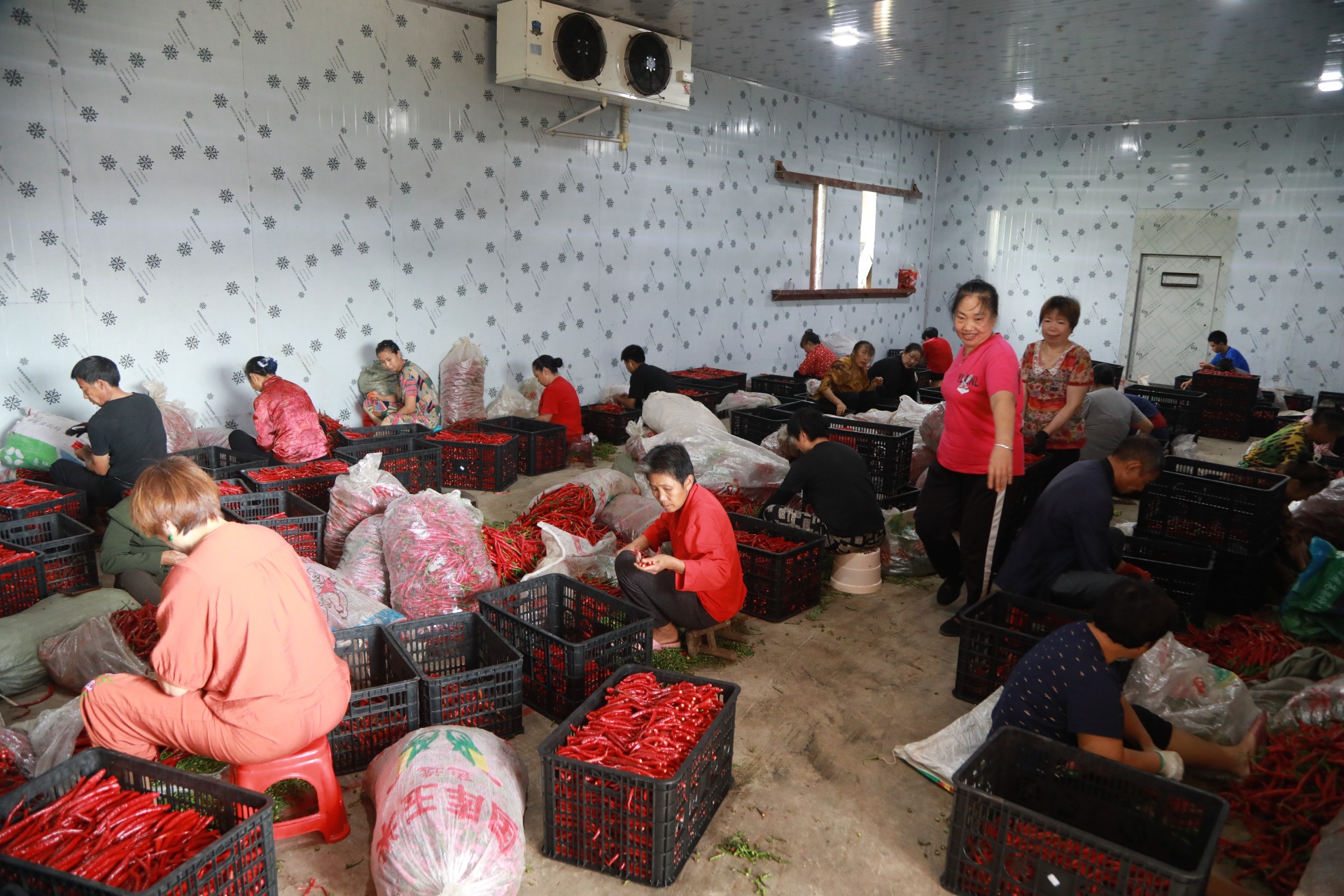 合江县尧坝镇白村：幸福苑居民开启安居乐业新生活 第 2 张